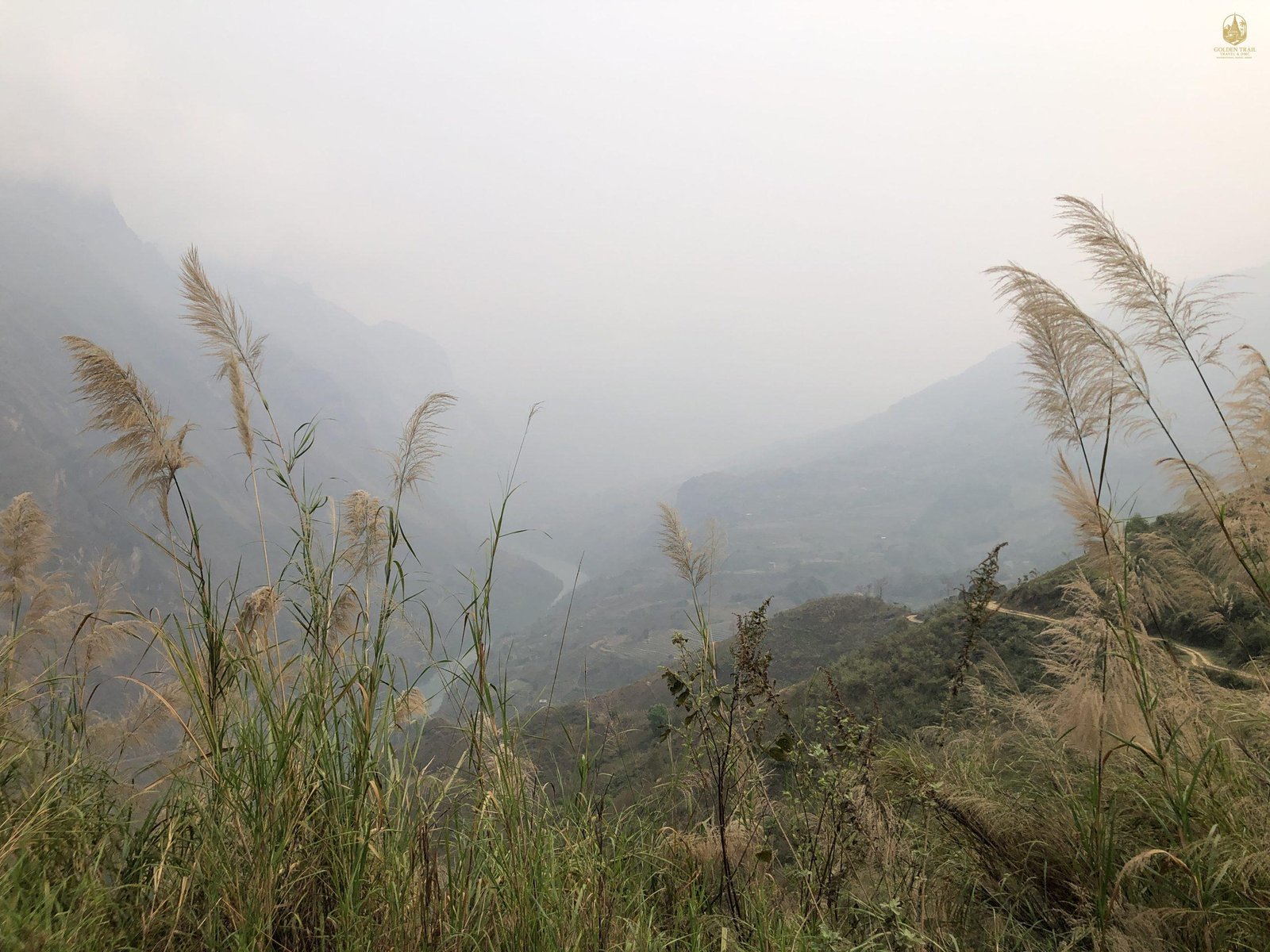 Bản Nam Hồng Villages: The Terraced Heartbeat of Hoang Su Phi